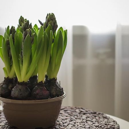 Saulys Apartment Druskininkai Bilik gambar