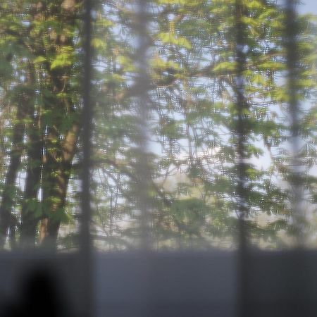 Saulys Apartment Druskininkai Bilik gambar