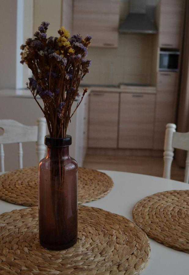 Saulys Apartment Druskininkai Luaran gambar
