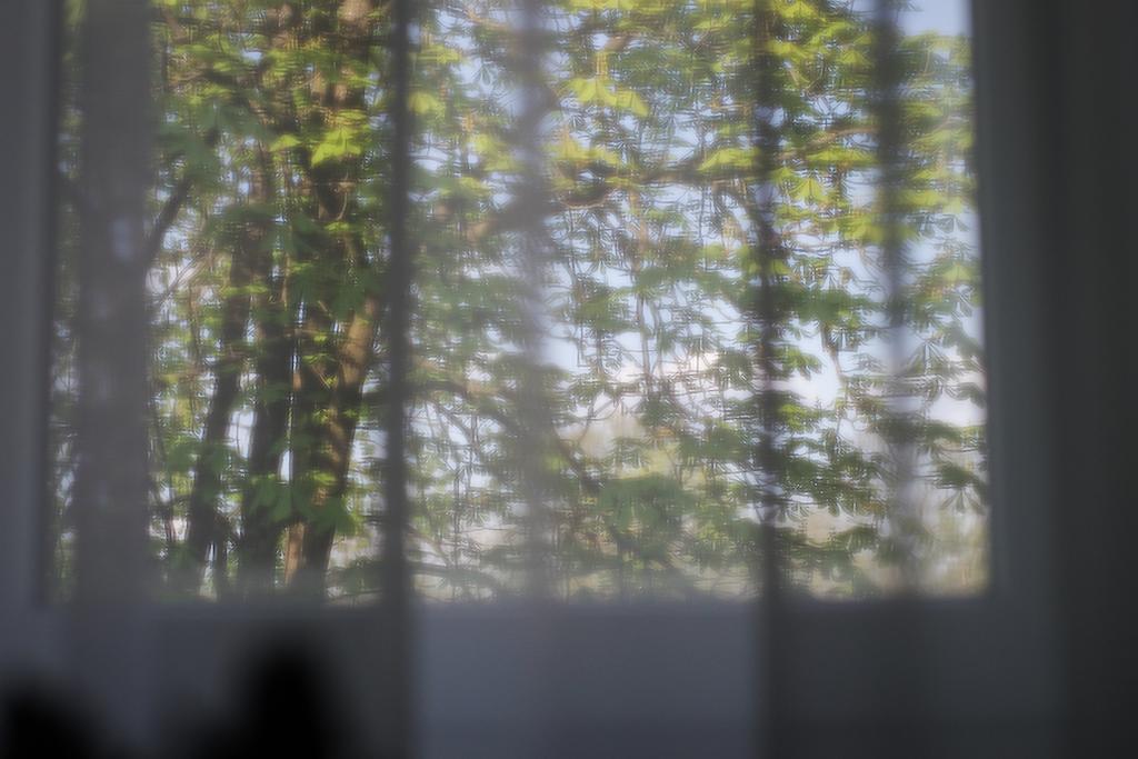Saulys Apartment Druskininkai Bilik gambar